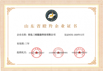 Shandong Gazelle Enterprise Certificate
