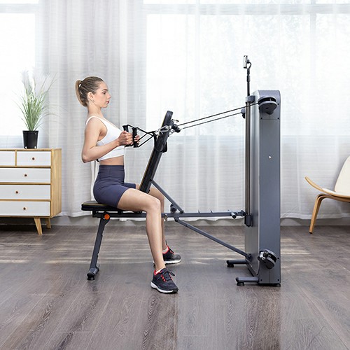 Home Gym Toning Gym GWY009